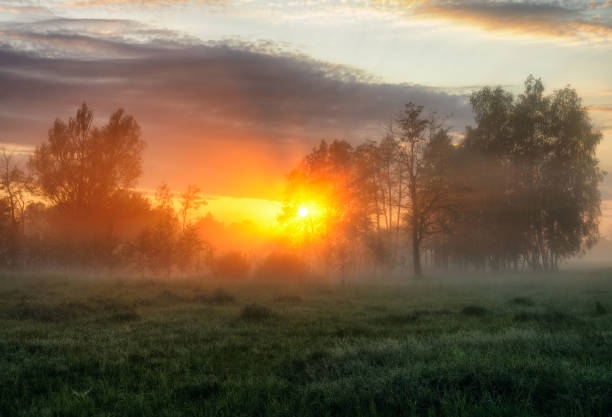 istock spring morning. a misty dawn in a picturesque meadow. Sun rays 922102346