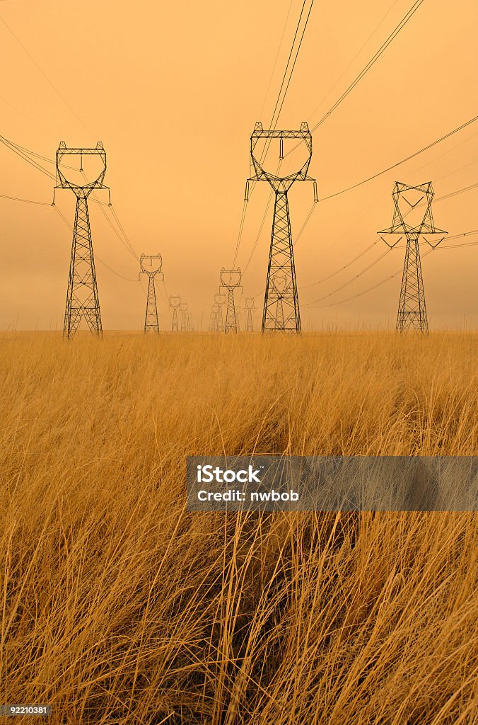 High Voltage in Weizen Felder - Lizenzfrei Größere Sehenswürdigkeit Stock-Foto