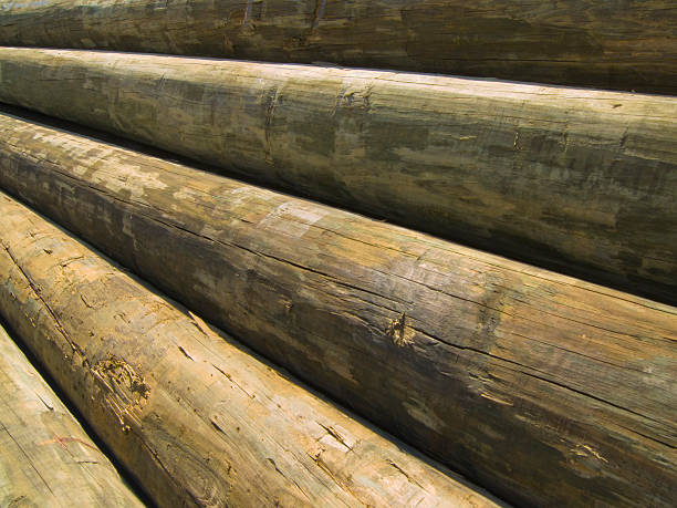 Old split and weathered pier pilings at edge of boat docks