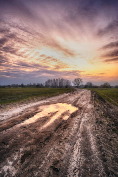 istock spring morning. a misty dawn in a picturesque meadow. Sun rays 922106568