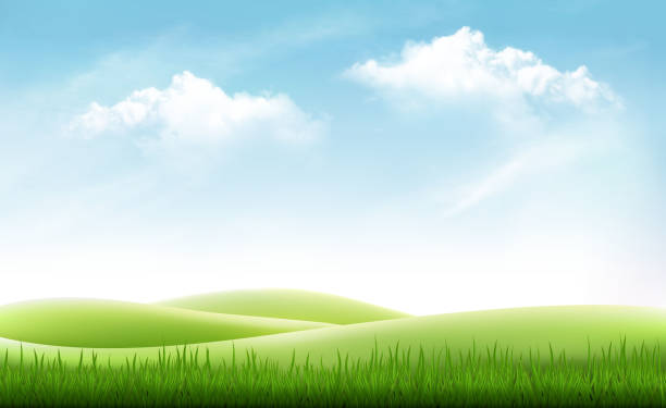 natur-sommer-hintergrund mit grünem rasen und blauer himmel. vektor - sky stock-grafiken, -clipart, -cartoons und -symbole