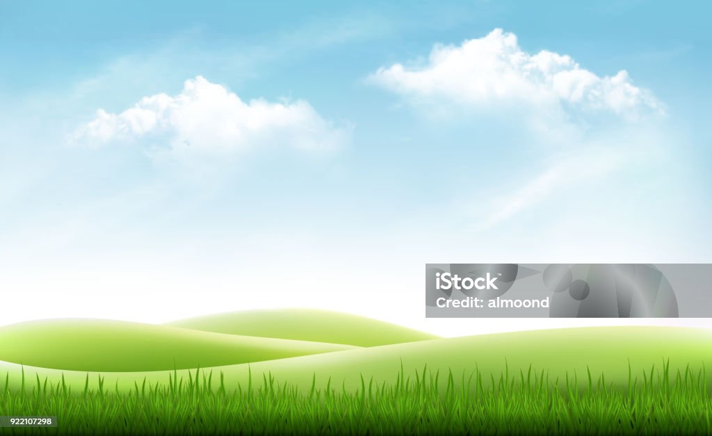 Nature summer background with green grass and blue sky. Vector Sky stock vector