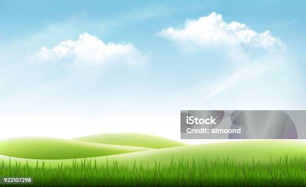 Nature Summer Background With Green Grass And Blue Sky Vector Stock Illustration - Download Image Now