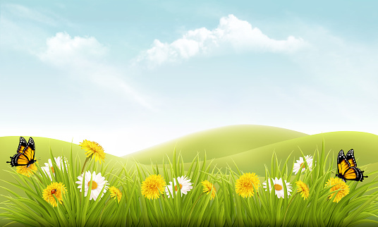 Nature background with grass and flowers and butterflies. Vector.