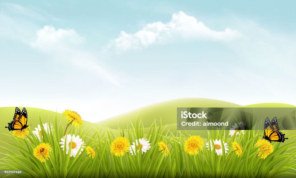 Nature background with grass and flowers and butterflies. Vector. Springtime stock vector