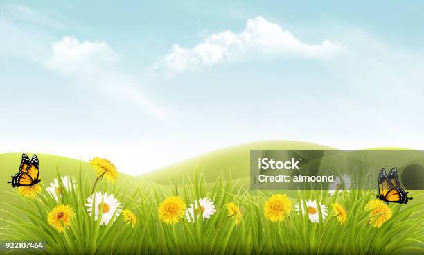 Nature Background With Grass And Flowers And Butterflies Vector Stock Illustration - Download Image Now