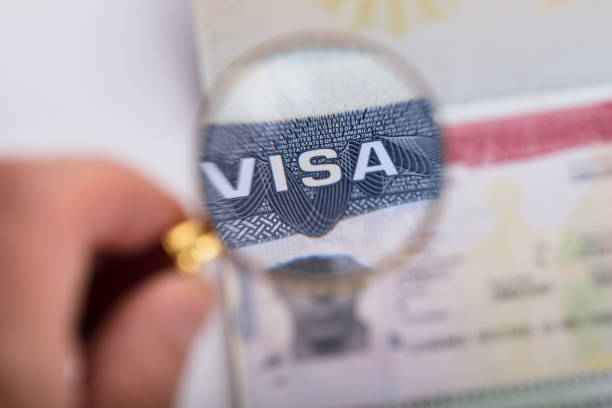 istock Human Hand Zooming At Visa Text 922107666