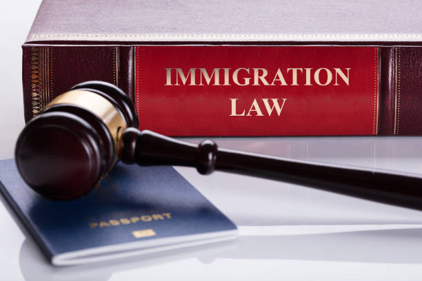 Close-up Of Gavel And Passport Close-up Of Gavel And Passport In Front Of Law Book emigration and immigration stock pictures, royalty-free photos & images