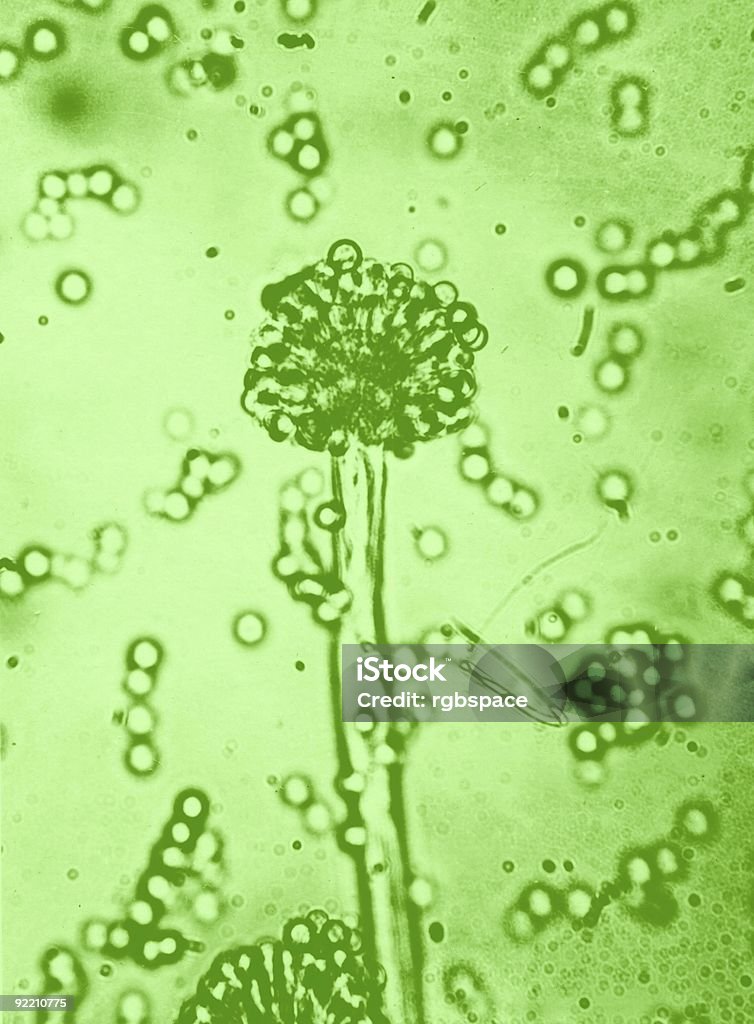 Microbiologie - Photo de Abstrait libre de droits