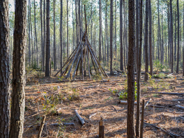 istock Campsite in a forest clearing 922112130