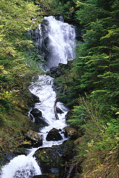 creek vicino di hyder, alaska - jackie stewart foto e immagini stock