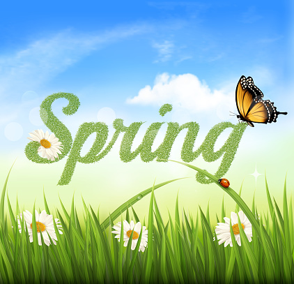 Spring Yfwr Spring Background With Grass Sky And A Butterfly Vector Stock ...