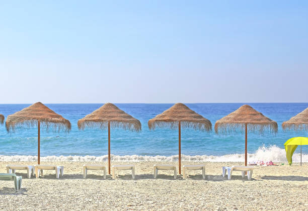 istock beach with grass sun shades and sunbeds 922117432