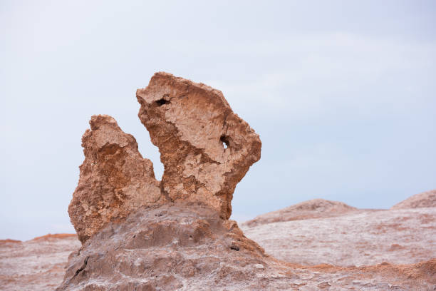 istock Dinosaur rock formation, Atacama desert - Moon valley mountains, sunset 922120402