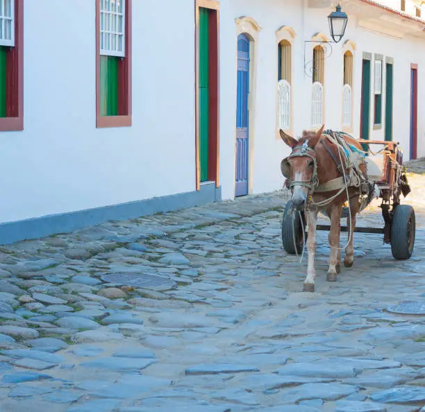 Photo of Horse and Cart in Paraty street