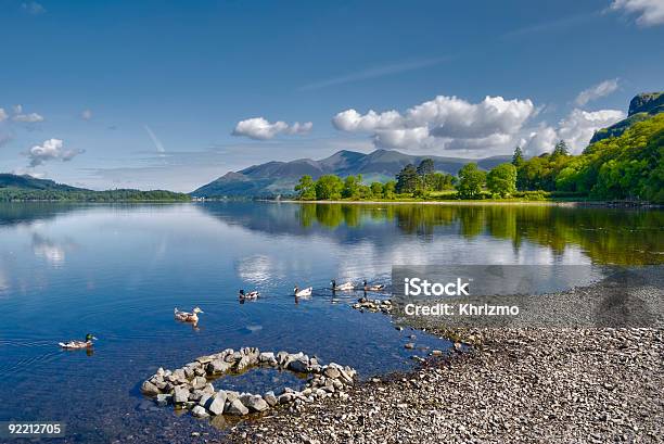 Derwent Water Lake Stock Photo - Download Image Now - Skiddaw, Backgrounds, Beach