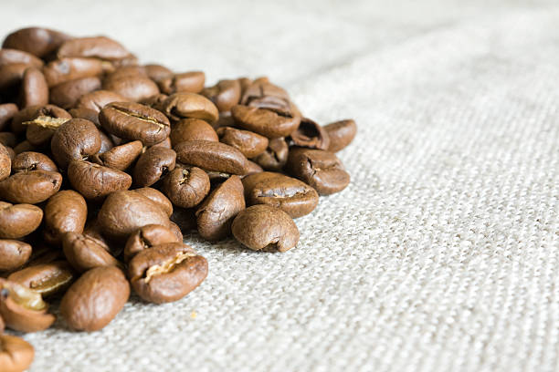 Close-up of coffee beans stock photo