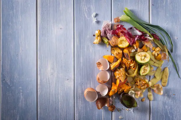 Photo of Kitchen Scraps