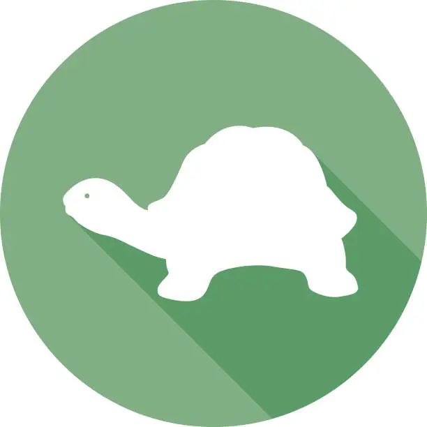 Vector illustration of Green Turtle Icon