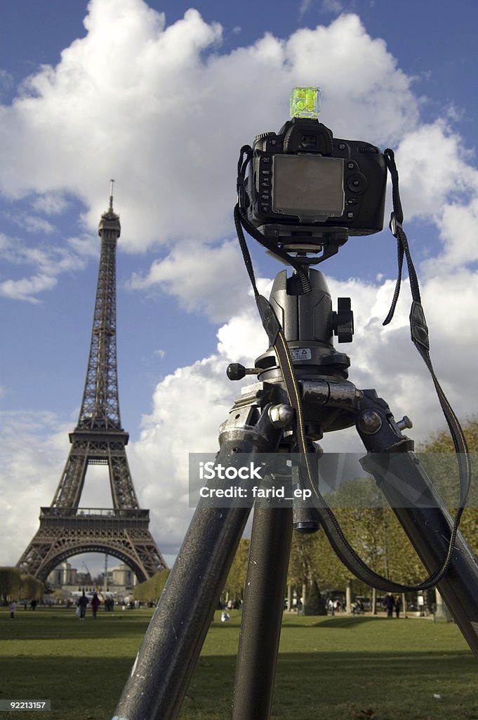 La telecamera - Foto stock royalty-free di Albero