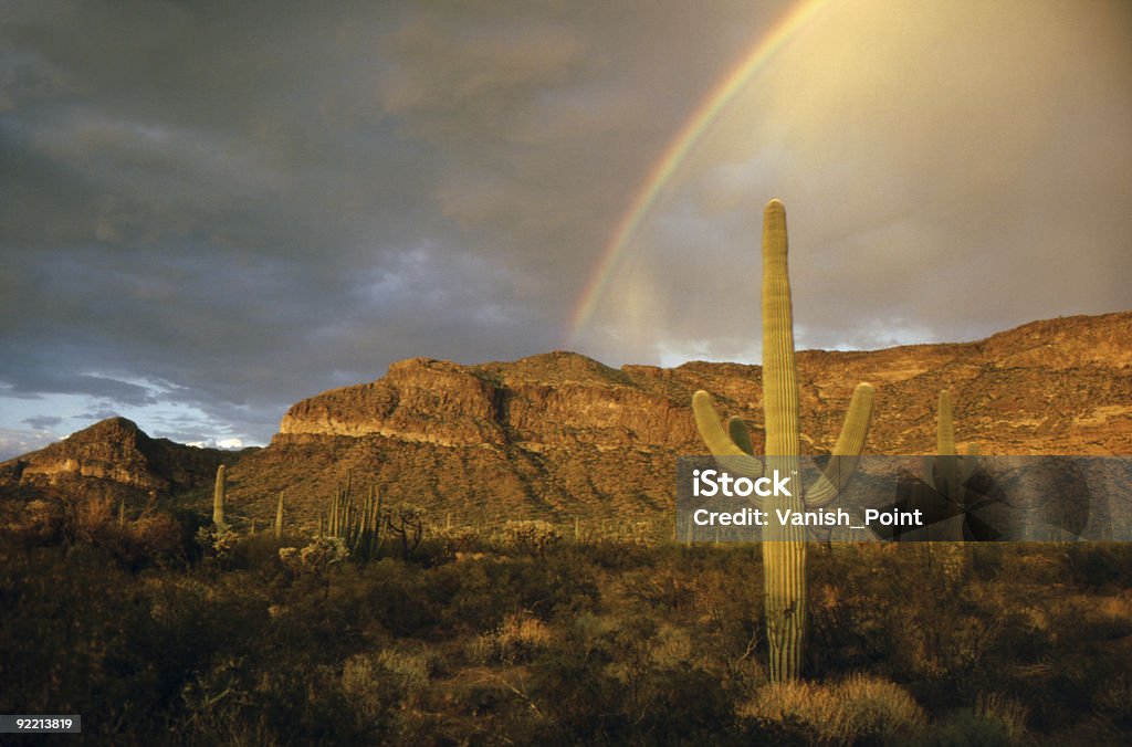 Rainbow-Kaktus - Lizenzfrei Regenbogen Stock-Foto