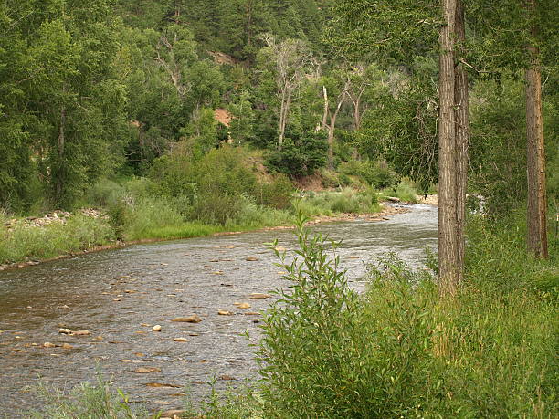 istock Dolores River in Colorado 92213977
