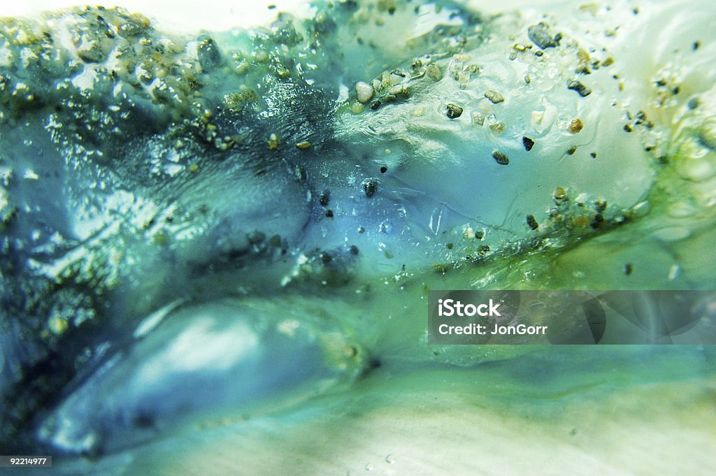 Aqua Abfallstoffe - Lizenzfrei Meeresalge Stock-Foto
