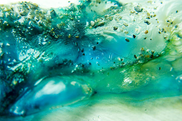aqua abfallstoffe - algae slimy green water stock-fotos und bilder