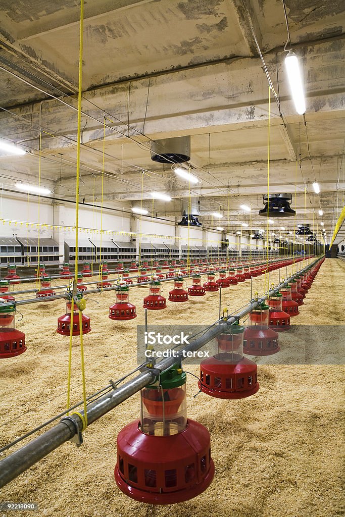 Geflügel farm - Lizenzfrei Lüftungsöffnung Stock-Foto