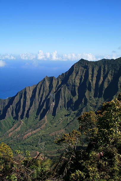 valle de kalalau contemple-mt. makana - makana peak fotografías e imágenes de stock