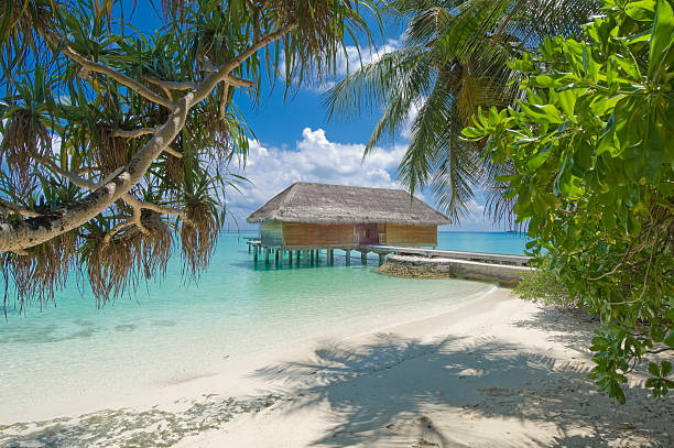 istock tropical island resort 92216597