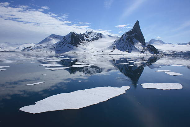 orso polare impronta nel ghiaccio artico - polar bear arctic global warming ice foto e immagini stock