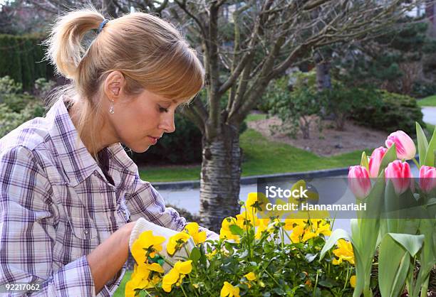 Bonitos Gardener - Fotografias de stock e mais imagens de Abril - Abril, Adulto, Amarelo