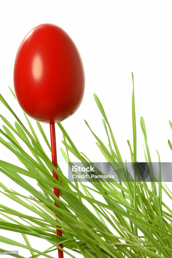 Uovo di Pasqua con grano - Foto stock royalty-free di Artigianato