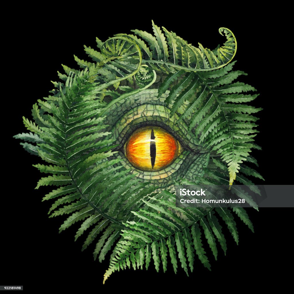 Watercolor dinosaur eye and ferns Watercolor dinosaur looking out with one eye from behind fern bushes. Hand painted prehistoric illustration isolated on black background Dinosaur stock illustration