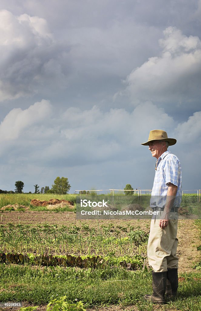 선임 farmer 그의 채소 정원 - 로열티 프리 구름 스톡 사진