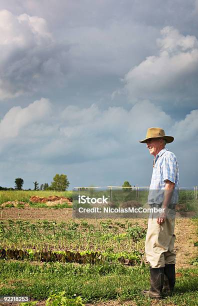 Foto de Sênior Agricultor Na Horta e mais fotos de stock de Adulto - Adulto, Agricultor, Agricultura