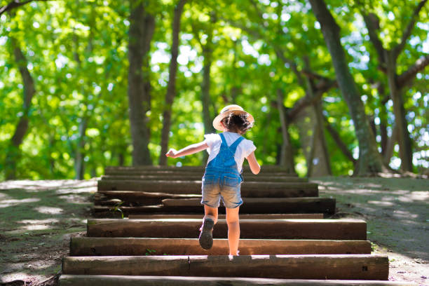 little girl climbing the stairs in the forest - growth nature tree forest imagens e fotografias de stock