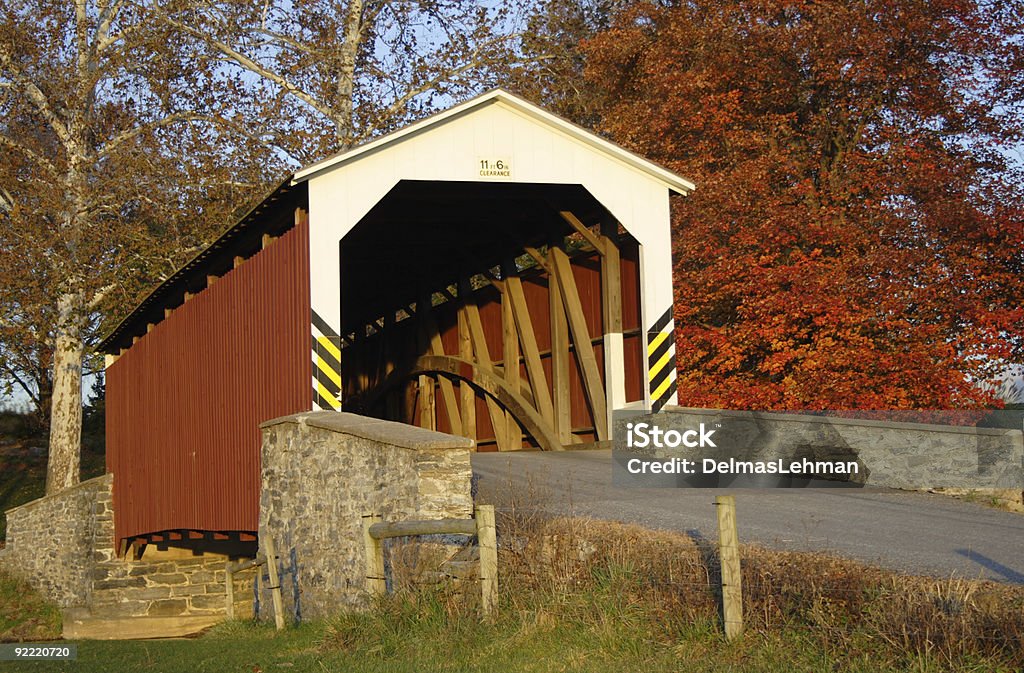 Il Ponte coperto - Foto stock royalty-free di Albero