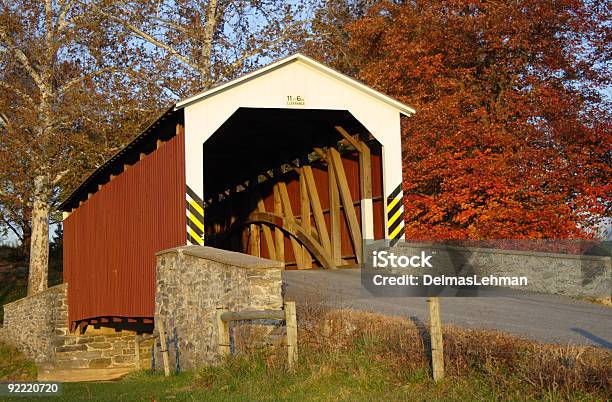 Il Ponte Coperto - Fotografie stock e altre immagini di Albero - Albero, Ambientazione esterna, Autunno