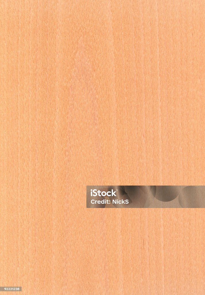 European Beech - Wood Texture Series  Backgrounds Stock Photo