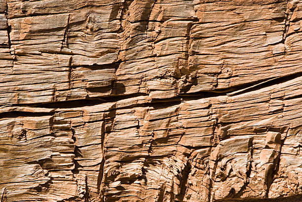 rough log pattern  roughhewn stock pictures, royalty-free photos & images