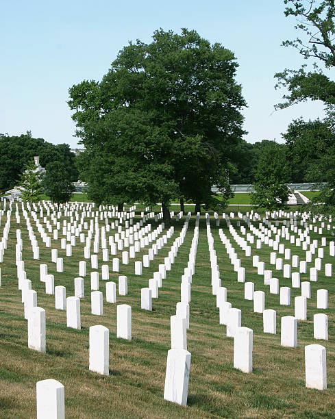 istock Tree in Middle of Military Cemetery 92222194