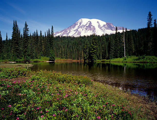 istock Mt Rainier National Park Washington 92222968