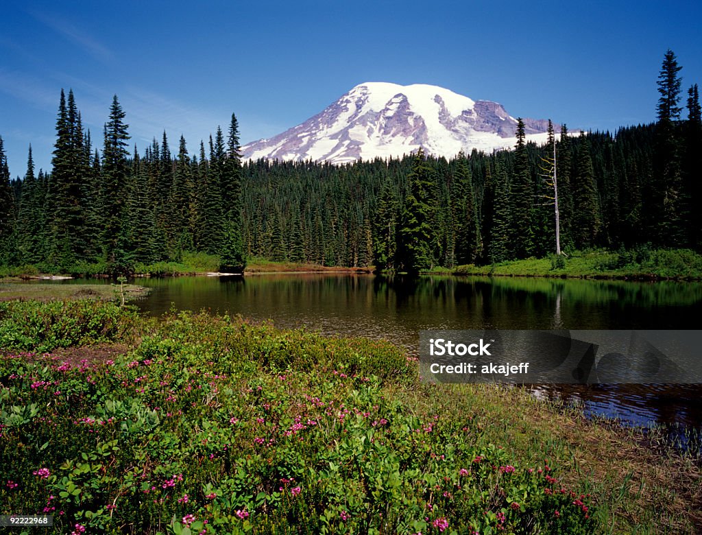 Parque Nacional do Monte Rainier Washington - Foto de stock de Alto - Descrição Geral royalty-free