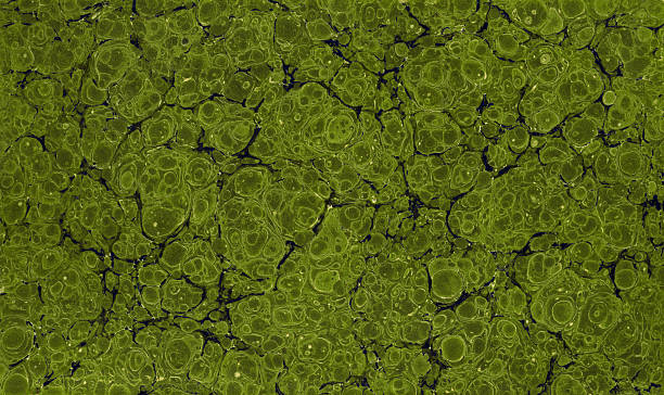 fundo verde marmóreo - marbled effect paper book book cover imagens e fotografias de stock