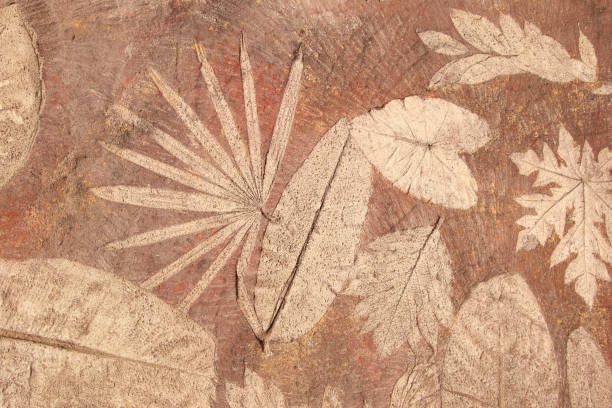 istock marks of leaf on the concrete 922231574