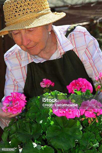 Donna Anziana Giardinaggio - Fotografie stock e altre immagini di Adulto - Adulto, Ambientazione esterna, Anziani attivi