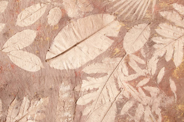 istock marks of leaf on the concrete 922241028