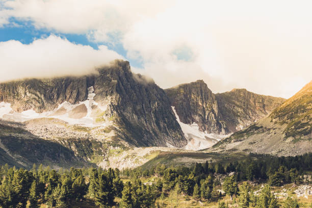 istock Mountain view from the valley with a pine forest. Travelling in the mountains. 922241132
